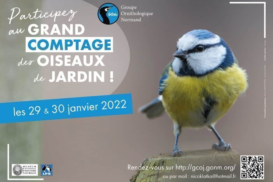 Grand comptage 2022 des oiseaux de jardin
