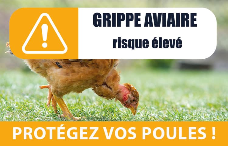Lutte contre l’influenza aviaire et déclaration obligatoire pour le 31 janvier 2023 au plus tard
